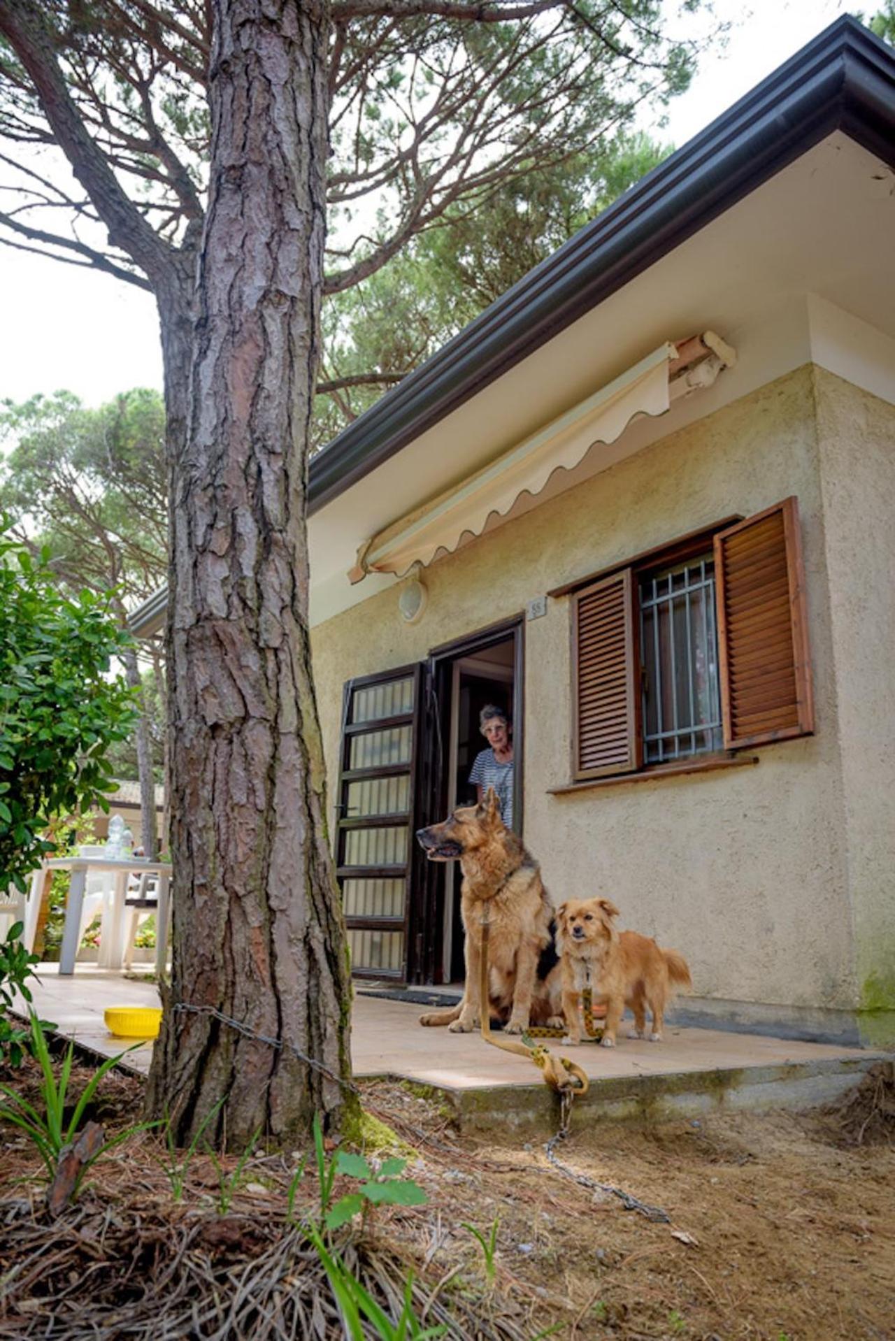 Arco Bungalow Eraclea Mare Eksteriør bilde